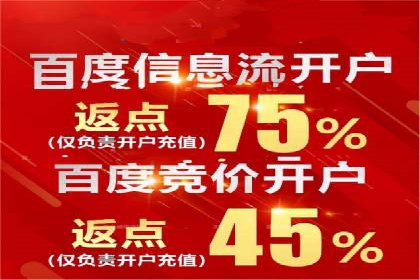 搜索引擎营销（SEM）的预算分配策略——以某行业案例详解